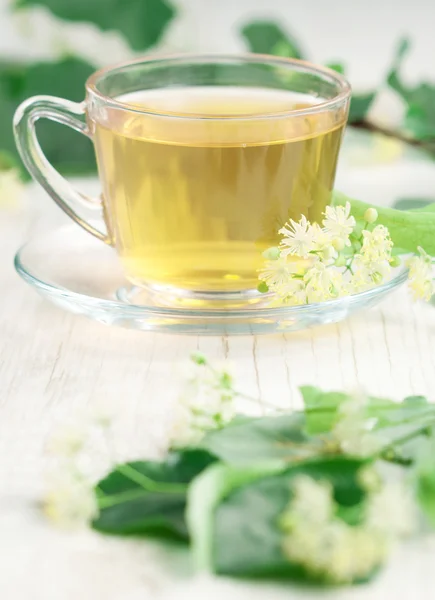 Cup of linden tea — Stock Photo, Image