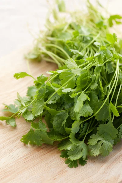 Fresh cilantro — Stock Photo, Image