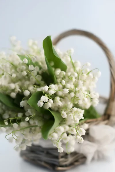 Basket with lilies of the valley — Stock Photo, Image