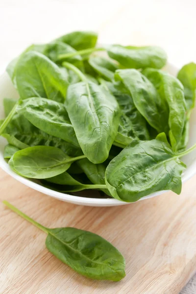 Fresh spinach — Stock Photo, Image