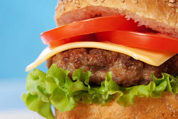 Cheeseburger with tomatoes and lettuce Royalty Free Stock Images