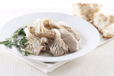 Kızarmış istiridye mantar