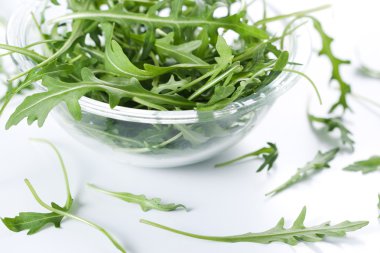 rucola taze salata