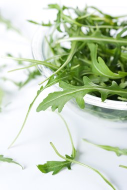 rucola taze salata