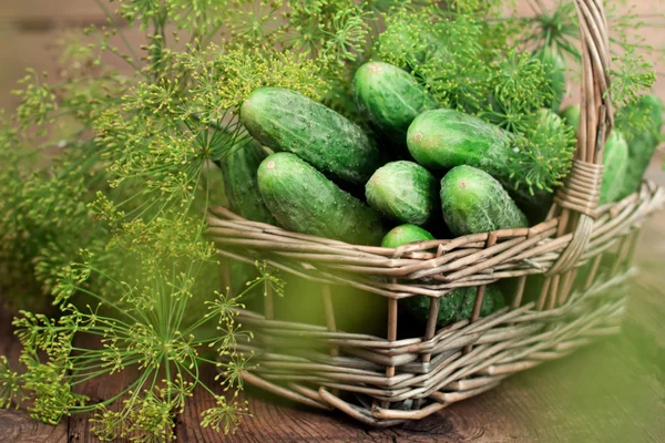 Bir sepette salatalık hasat et. — Stok fotoğraf