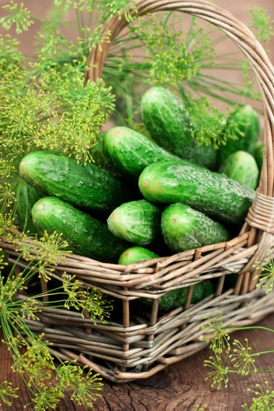 Bir sepette salatalık hasat et. — Stok fotoğraf