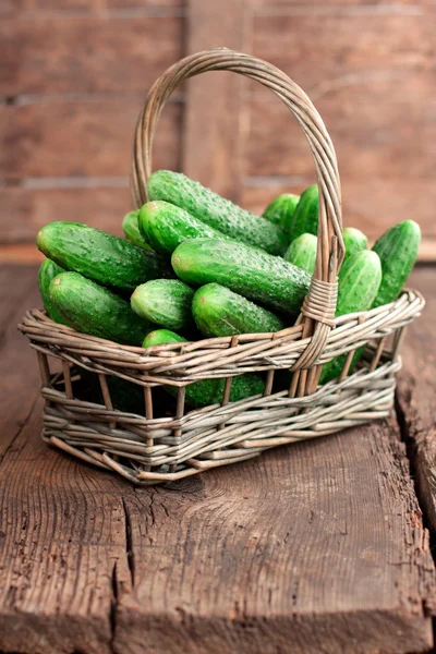 Harvest cucumbers in a basket — Stock Photo, Image