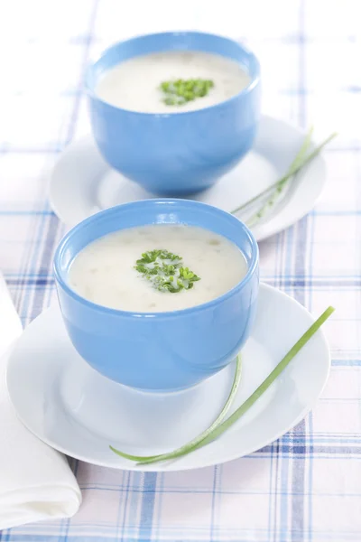 Zuppa di purea di cipolla — Foto Stock