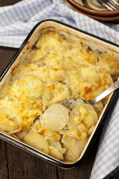 Potato gratin dauphinoise — Stock Photo, Image