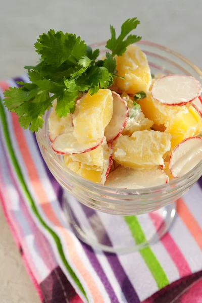 Radijs en aardappel salade — Stockfoto