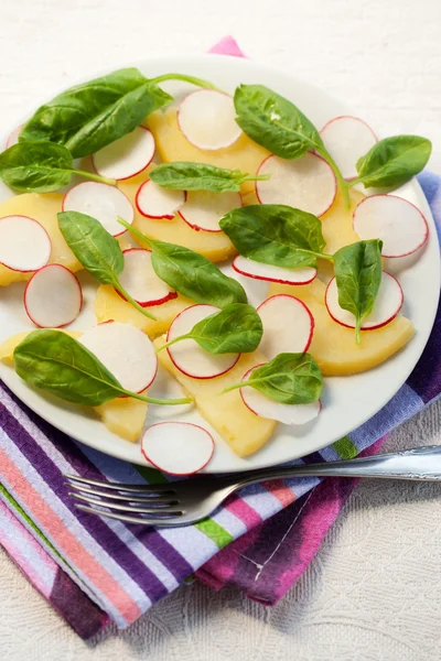 Radish and potato salad — Stock Photo, Image