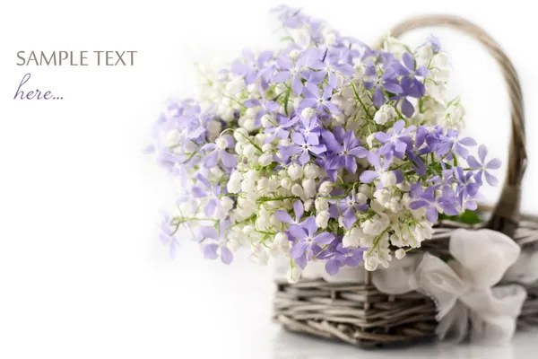 Весняні квіти в кошику — стокове фото