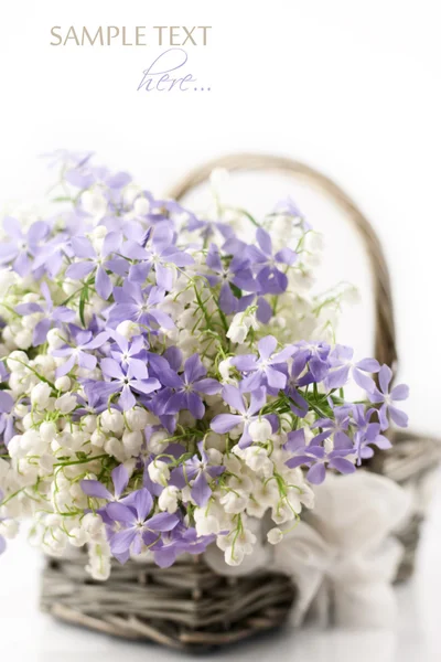 Flores da primavera em cesta — Fotografia de Stock