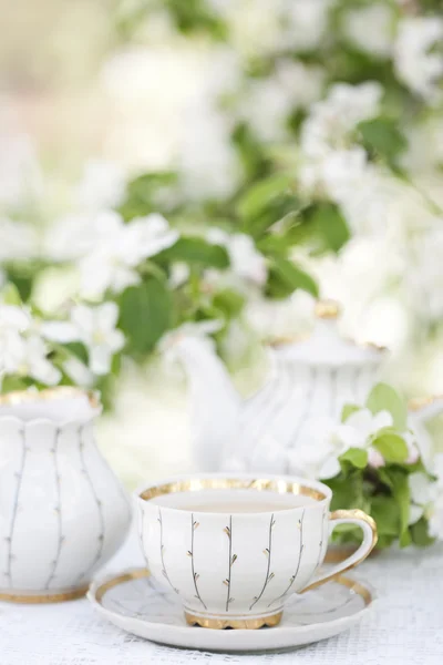 Ceai în grădina înfloritoare — Fotografie, imagine de stoc