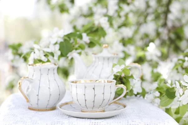 Tea in the blossoming garden — Stock Photo, Image