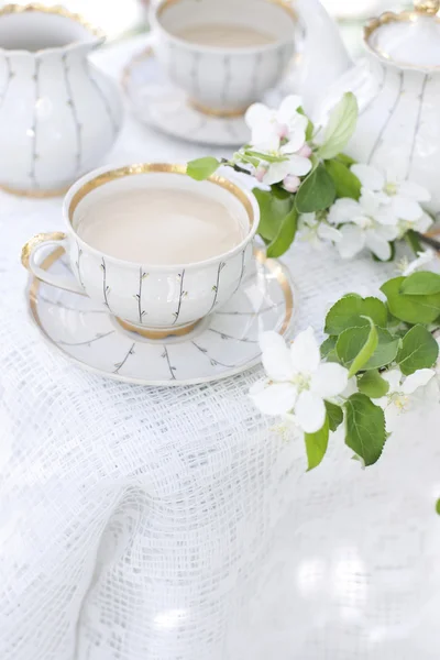 Tea in the blossoming garden — Stock Photo, Image