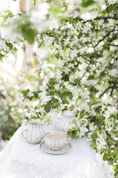 Chá no jardim florescente — Fotografia de Stock