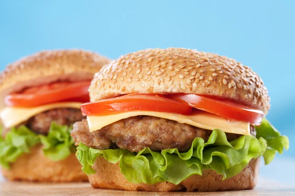 Dwa cheeseburgers — Zdjęcie stockowe