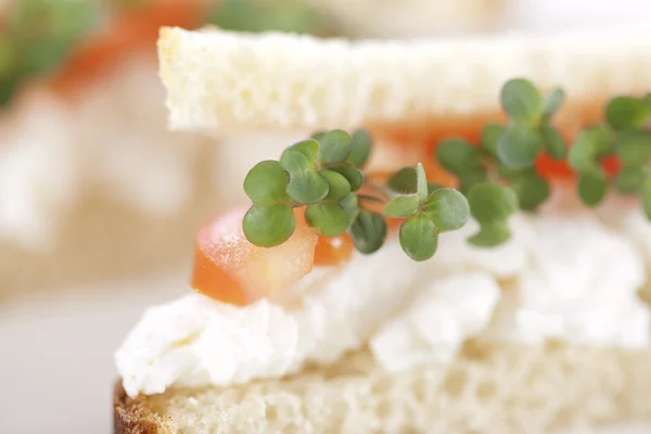 शाकाहारी सँडविच — स्टॉक फोटो, इमेज