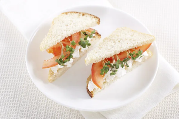 Vegetarische Sandwiches — Stockfoto