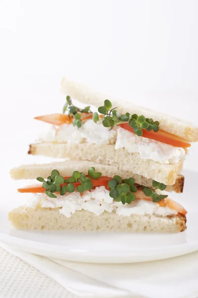 Вегетаріанські сендвічі — стокове фото