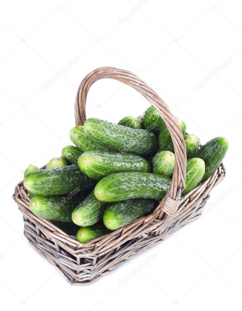 Harvest cucumbers in a basket