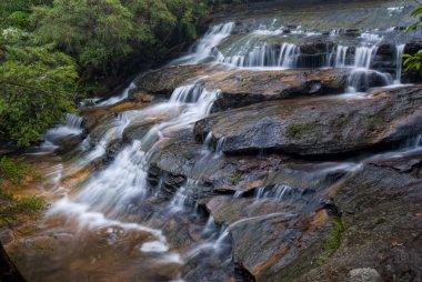 Leura Cascades - Blue Mountains - Australia clipart