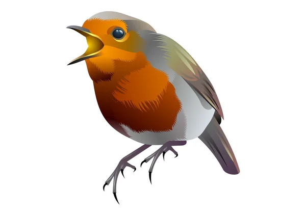 Krásný ptáček — Stockový vektor