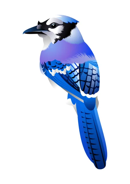 Wunderschöne Birdy — Stockvektor
