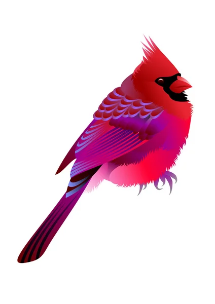 Piękne Ptasiek — Wektor stockowy