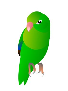 Parrot clipart