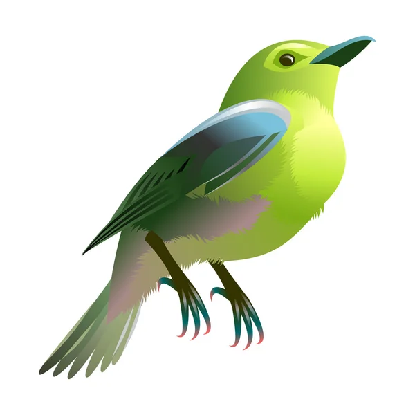 Green bird with blue wings — Stock Vector