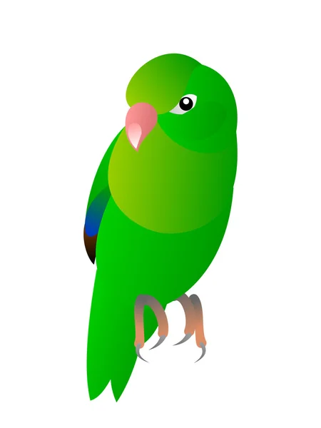 Папуга — стоковий вектор