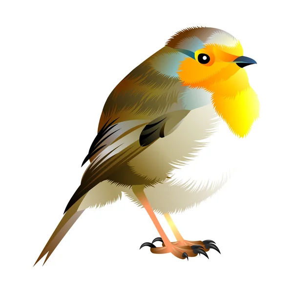 Uccellino bruno con petto giallo — Vettoriale Stock
