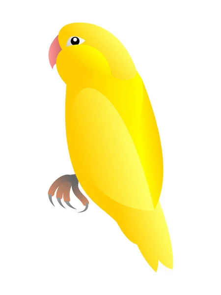 Zářivě žluté papoušek — Stockový vektor