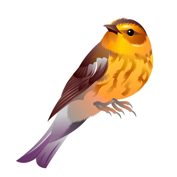 Grande uccello marrone con petto giallo — Vettoriale Stock