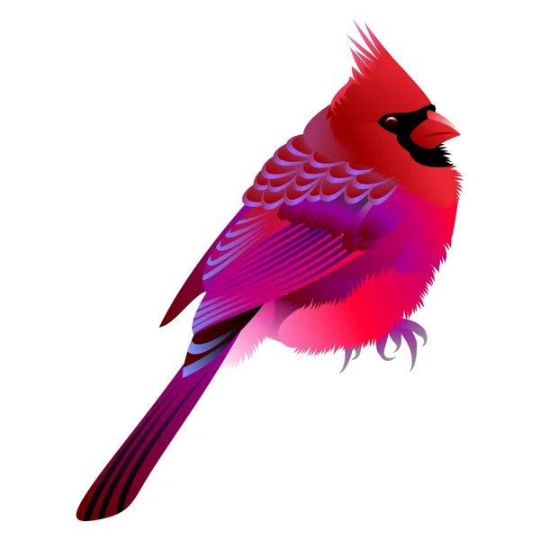 Uccello rosa con testa nera — Vettoriale Stock
