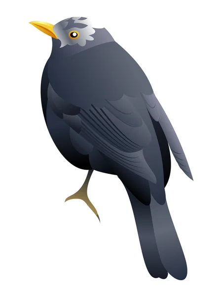 Big grey bird — Stock Vector