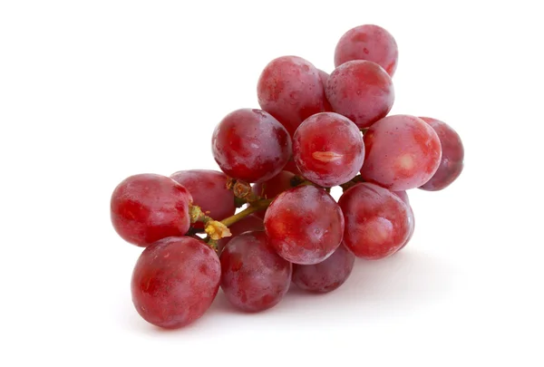 红葡萄 — 图库照片