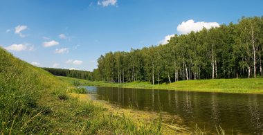 göl ve huş ağacı orman