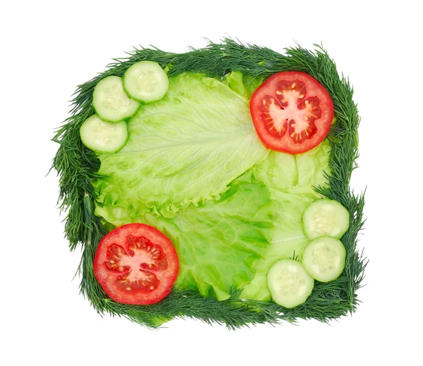 Листя салату з кропом, огірком і помідорами — стокове фото