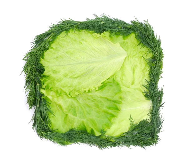 Lettuce with dill — Stock Photo, Image