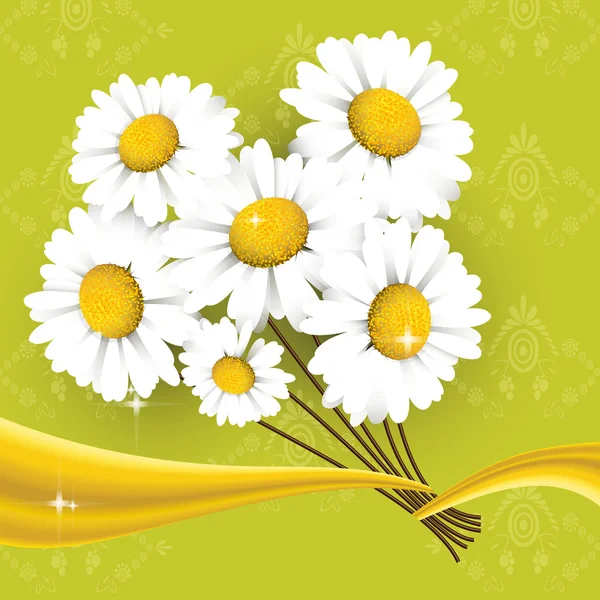Bouquet de camomilles — Image vectorielle