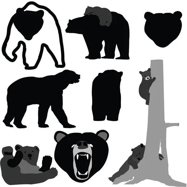 Stock vector Bears silhouette collection - vector