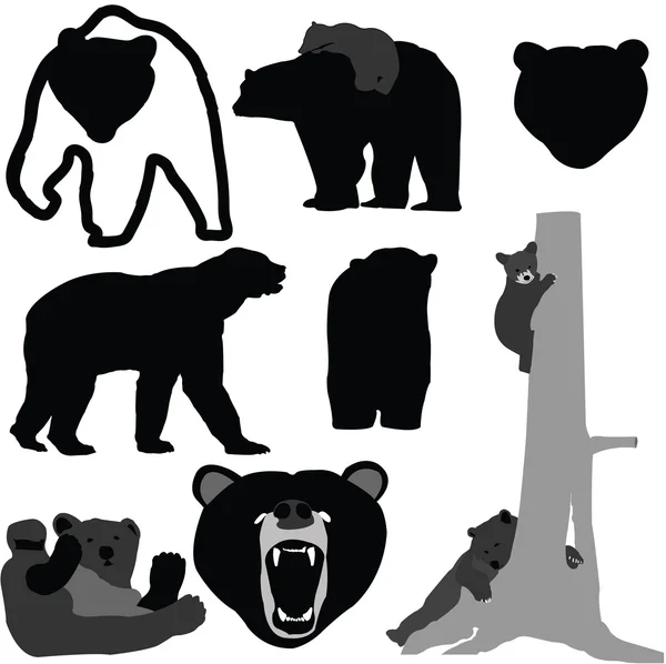 Björnar silhouette kollektion - vektor Vektorgrafik