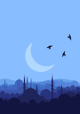 Vintage turkish city Istanbul landscape illustration clipart