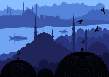 Vintage turkish city Istanbul landscape illustration clipart