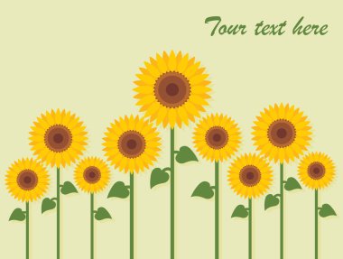 Yellow sunflowers vector clipart