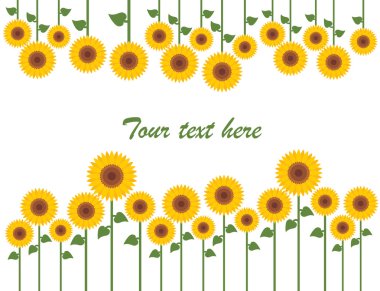 Yellow sunflowers vector clipart