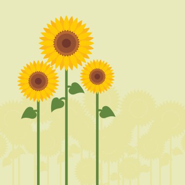 Yellow sunflowers vector clipart